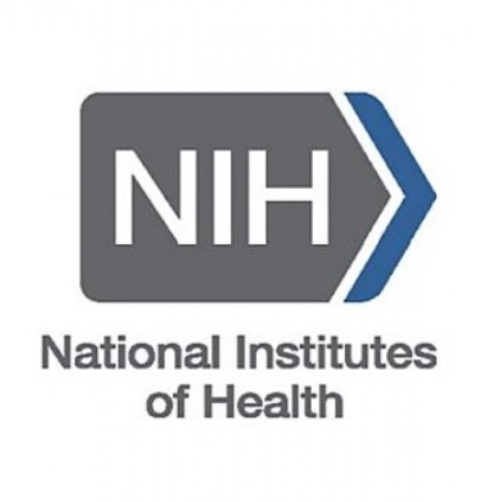 Two School of Science Professors Receive NIH Grants for Research on Developmental Biology