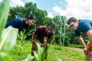 MUSE students in biology lab and Plant Biology Research Station observing plants