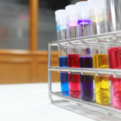 This course finds the right formula for mixing art, chemistry, and global travel.