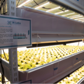 Innovation meets possibility in TCNJ’s new Indoor Ag Lab
